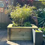 49-gallon pond with fountain and heron statue.