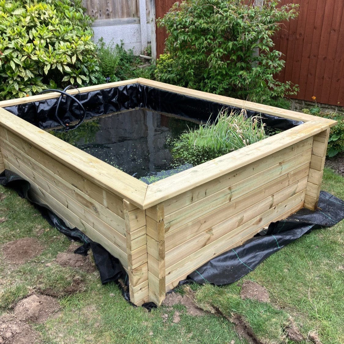 Are Raised Timber Ponds Better Than In-Ground Ponds?