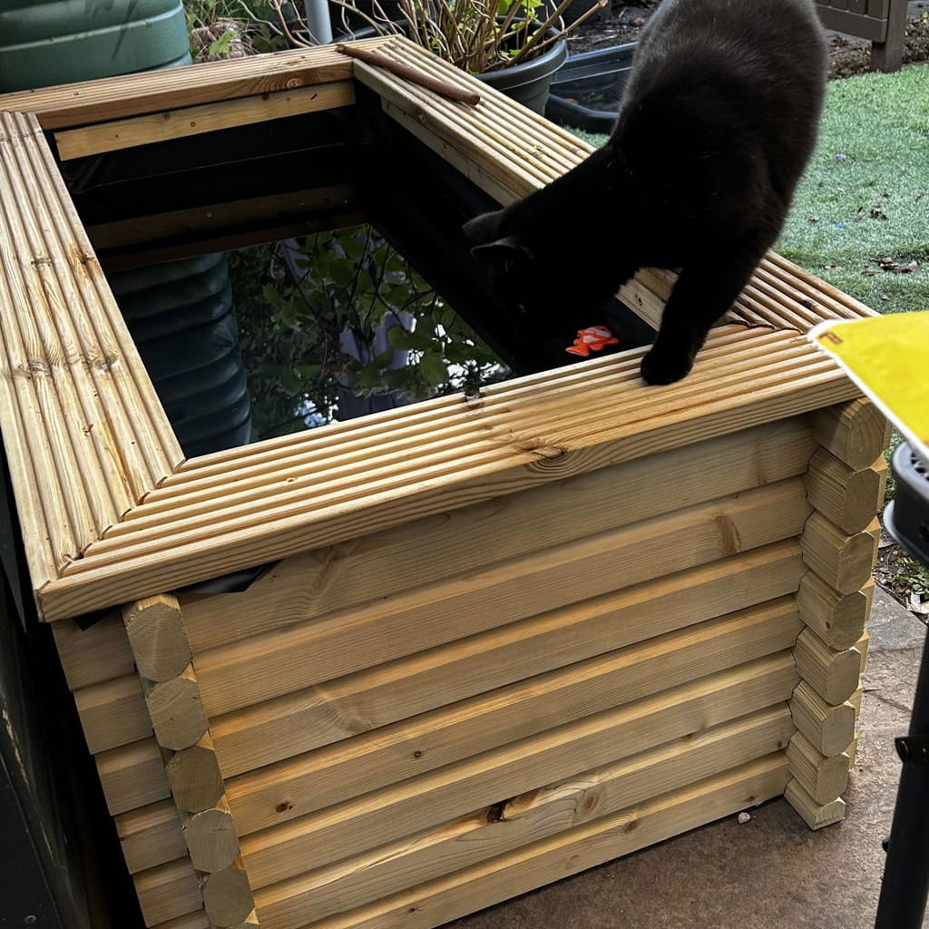A black cat stands on the wooden edge of a rectangular raised garden pond containing water, with plants and a patio background visible.