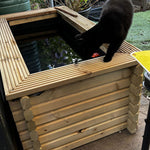 A black cat stands on the wooden edge of a rectangular raised garden pond containing water, with plants and a patio background visible.