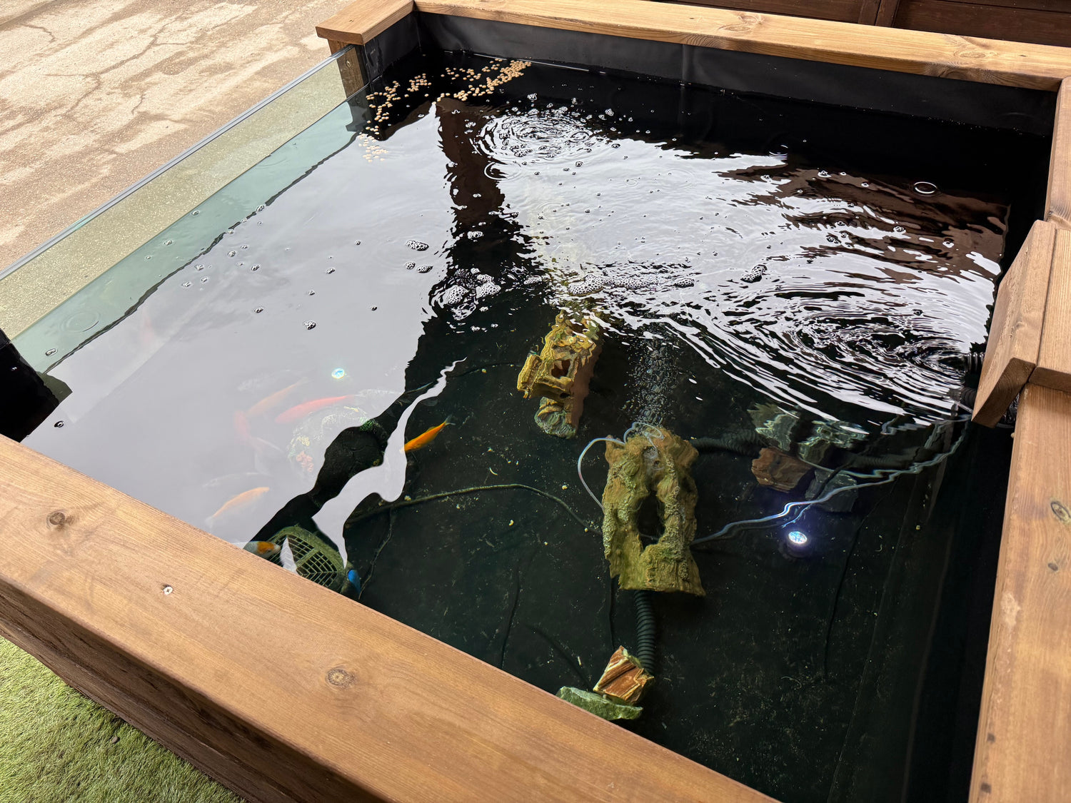 Wooden Koi LayzeePond® With Window, Various Sizes & Options