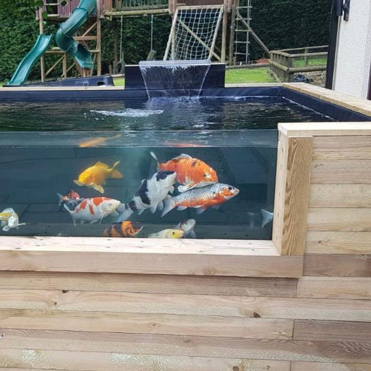Heavy Duty Wooden Koi LayzeePond With Window, 200mm walls, Various Sizes & Options