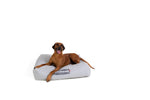 LayzeePet Maxi, Memory Foam Filled Pet Bed by Buddabed