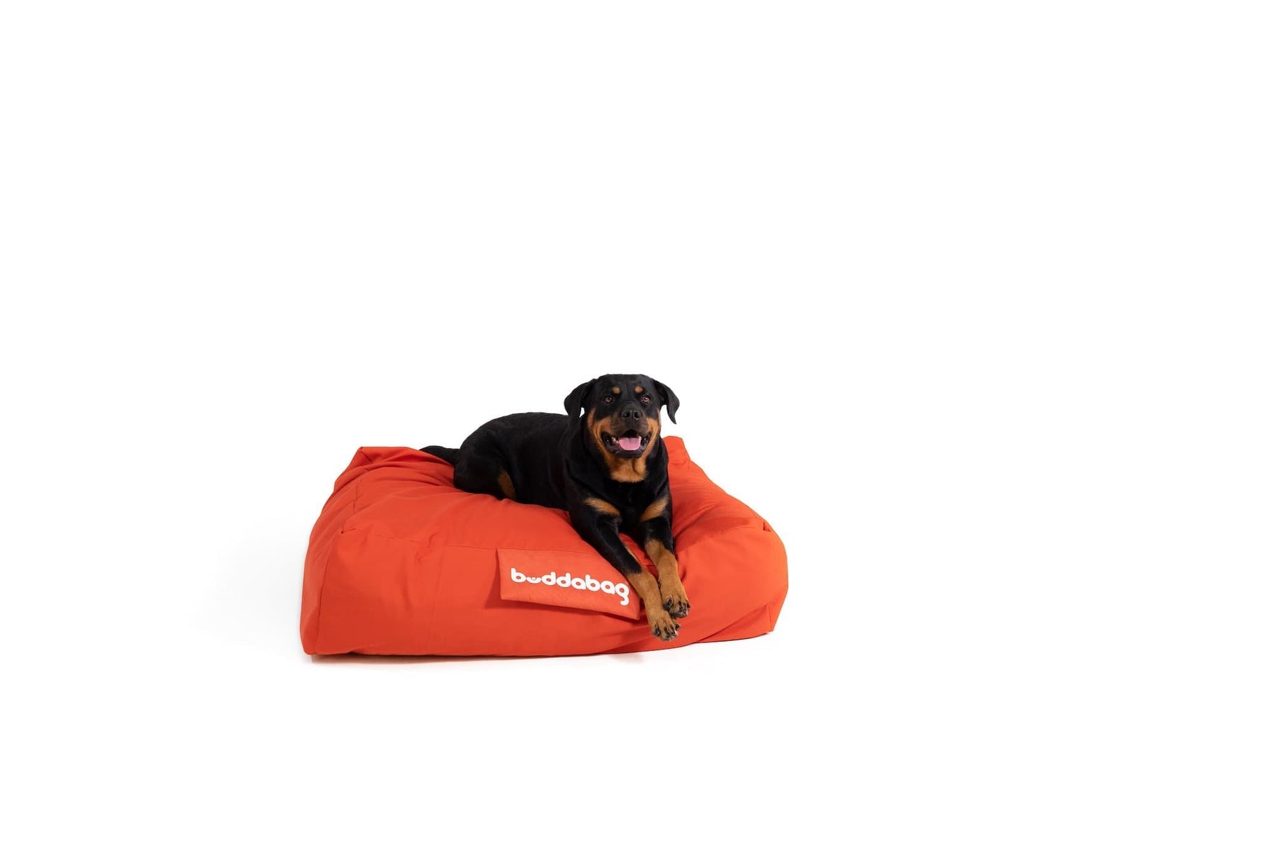 LayzeePet Maxi, Memory Foam Filled Pet Bed by Buddabed