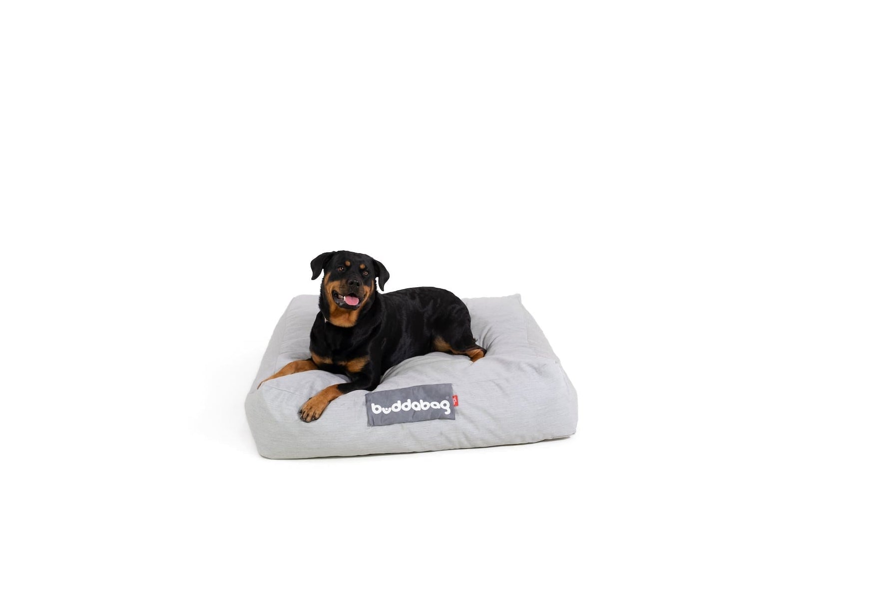 LayzeePet Maxi, Memory Foam Filled Pet Bed by Buddabed