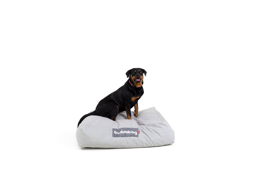 LayzeePet Maxi, Memory Foam Filled Pet Bed by Buddabed
