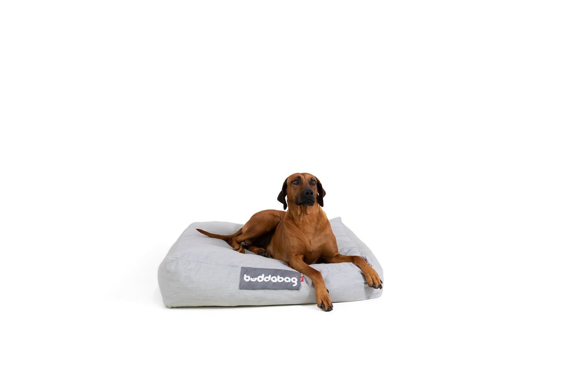 LayzeePet Maxi, Memory Foam Filled Pet Bed by Buddabed