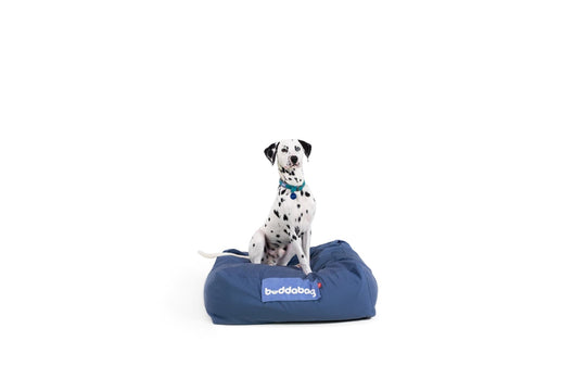 LayzeePet Midi, Memory Foam Filled Pet Bed by Buddabed