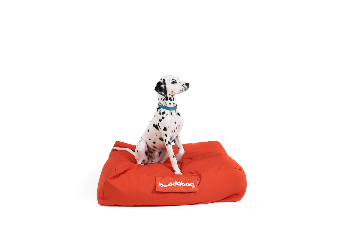 LayzeePet Midi, Memory Foam Filled Pet Bed by Buddabed