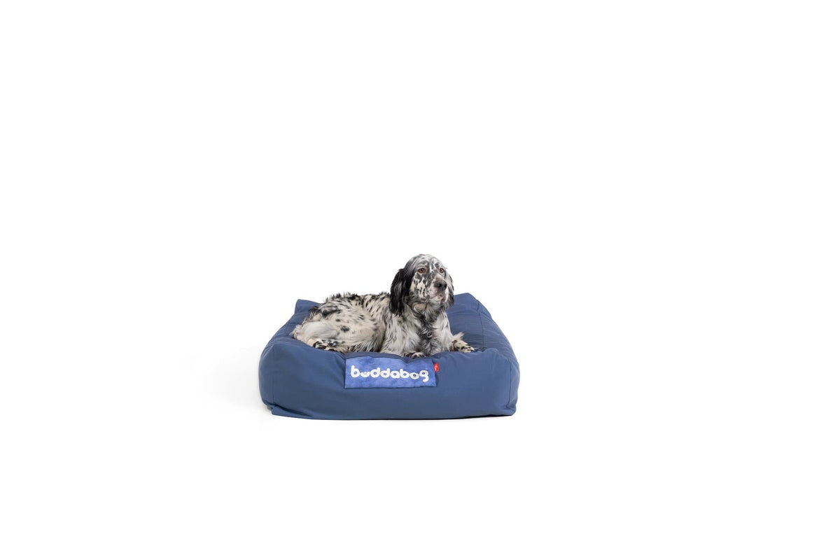 LayzeePet Midi, Memory Foam Filled Pet Bed by Buddabed