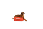 LayzeePet Mini, Memory Foam Filled Pet Bed by Buddabed