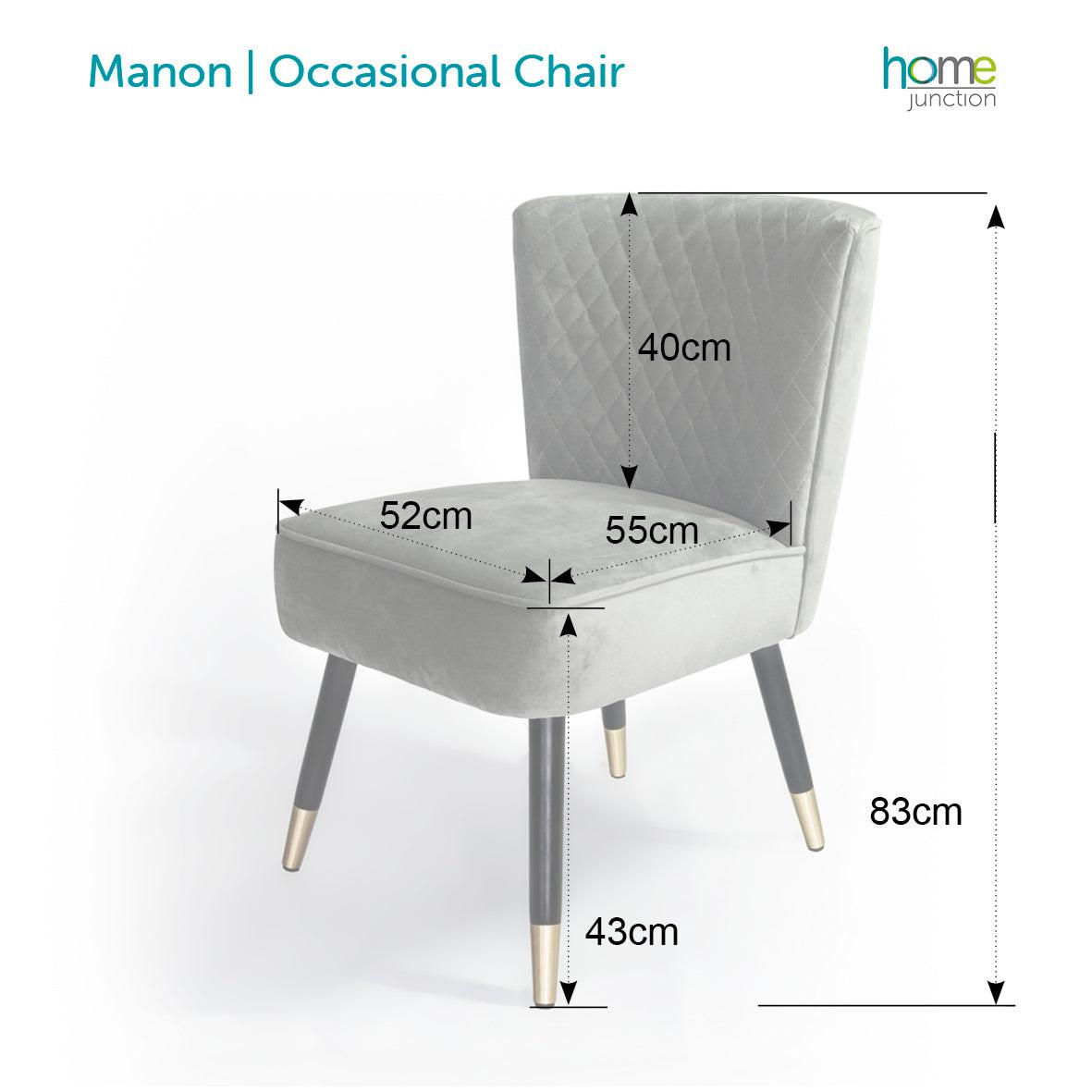 Manon | Occasional Chair in Soft Grey Velvet