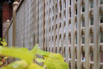 Small Square, Privacy Trellis Panel for extra privacy and growing up Pergolas and fencing