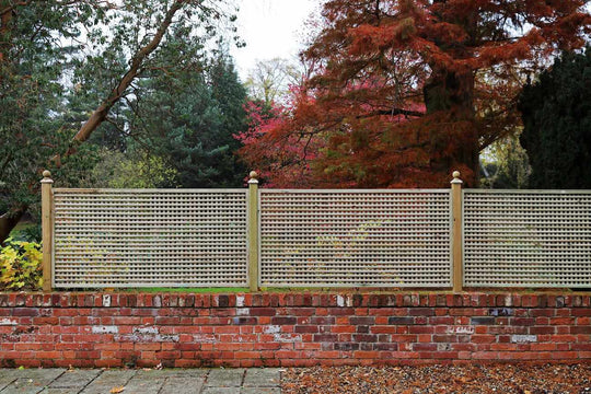 Small Square, Privacy Trellis Panel for extra privacy and growing up Pergolas and fencing