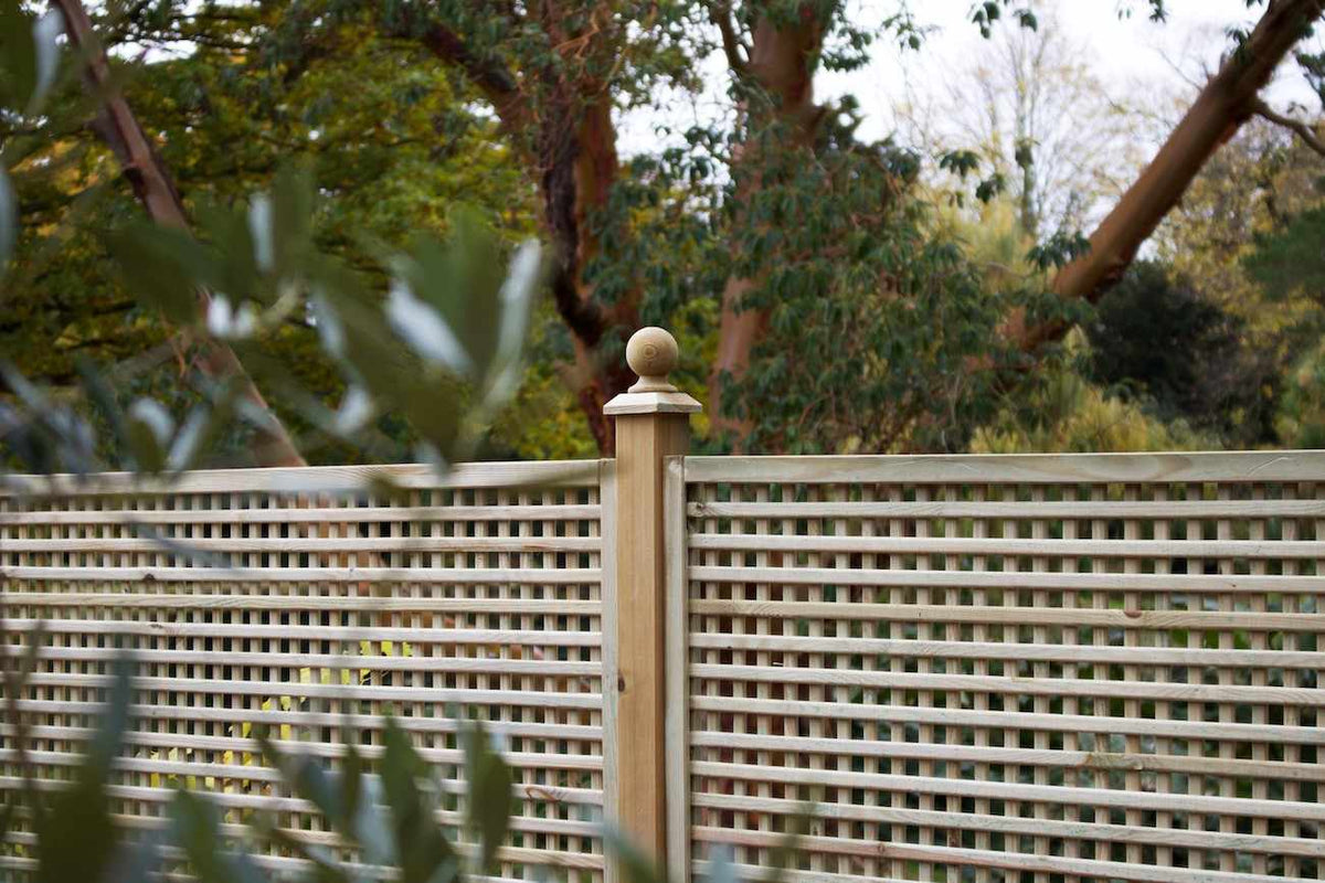 Small Square, Privacy Trellis Panel for extra privacy and growing up Pergolas and fencing