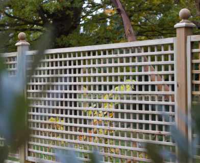 Treated Square Trellis Panel for privacy and growing up Pergolas and fencing
