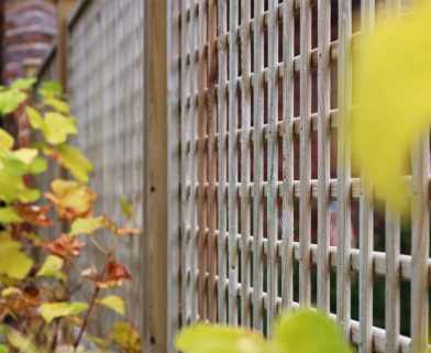 Treated Square Trellis Panel for privacy and growing up Pergolas and fencing