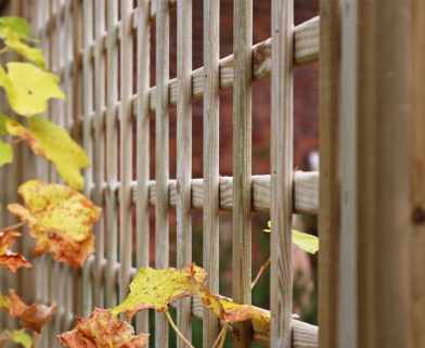 Treated Square Trellis Panel, with larger 70mm gap, ideal for growing up Pergolas and fencing